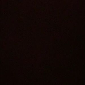 Meet your Posher, Bella